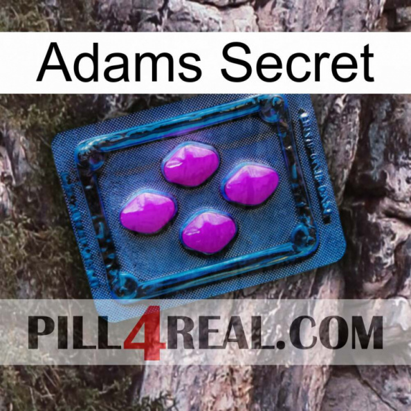 Adams Secret 04.jpg